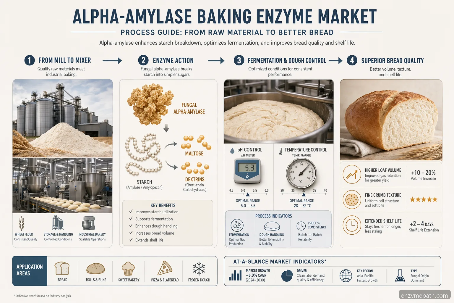 คู่มือกระบวนการ alpha-amylase สำหรับเอนไซม์อบขนม แสดงการทำงานของเอนไซม์ การจัดการโดว์ ปริมาตรขนมปัง และอายุการเก็บ
